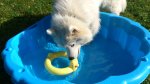 Svea leker med en anka i badbaljan